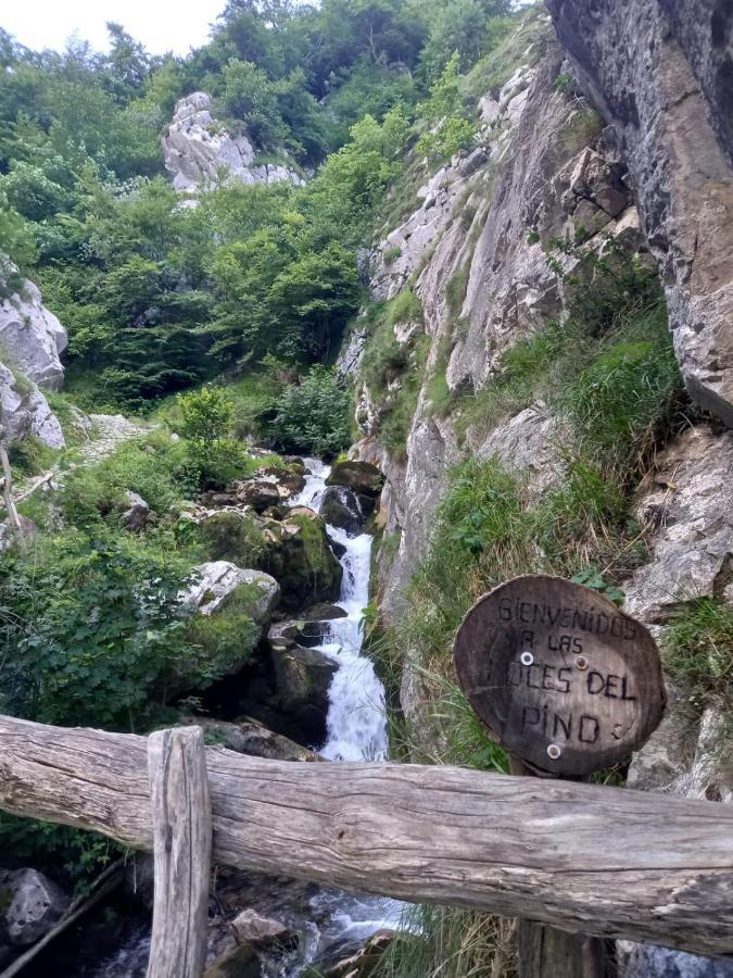 Casa Cuevas Gospodarstwo wiejskie