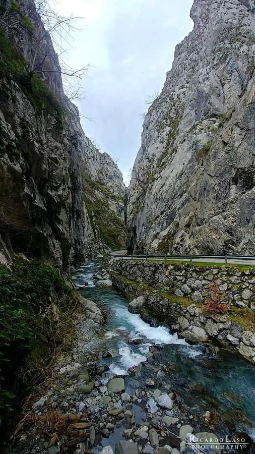 Casa Cuevas Gospodarstwo wiejskie
