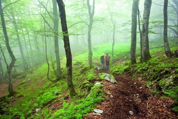 Gospodarstwo wiejskie Casa Cuevas Cuevas (Aller)